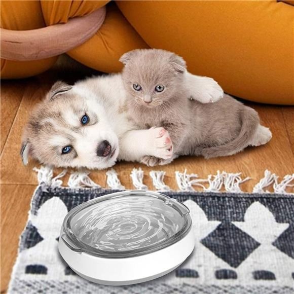 Dog Cat All Pets Glass Food Water Bowls Transparent Portable Protect Pets' Spine - Picture 3 of 7